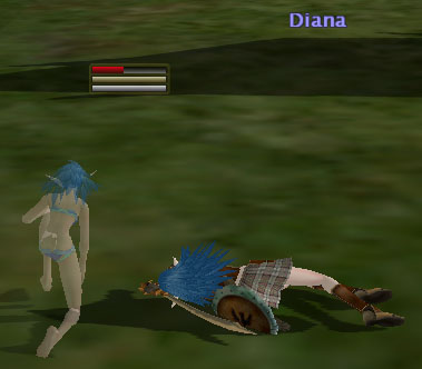 kaisyu.jpg