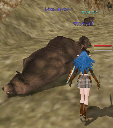 kuma.jpg