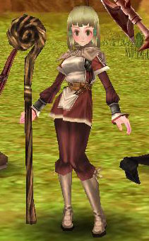 sor.jpg