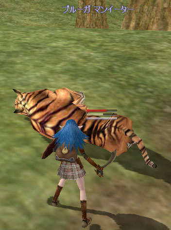 tiger01.jpg